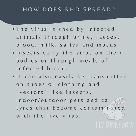 RHDV2 update......