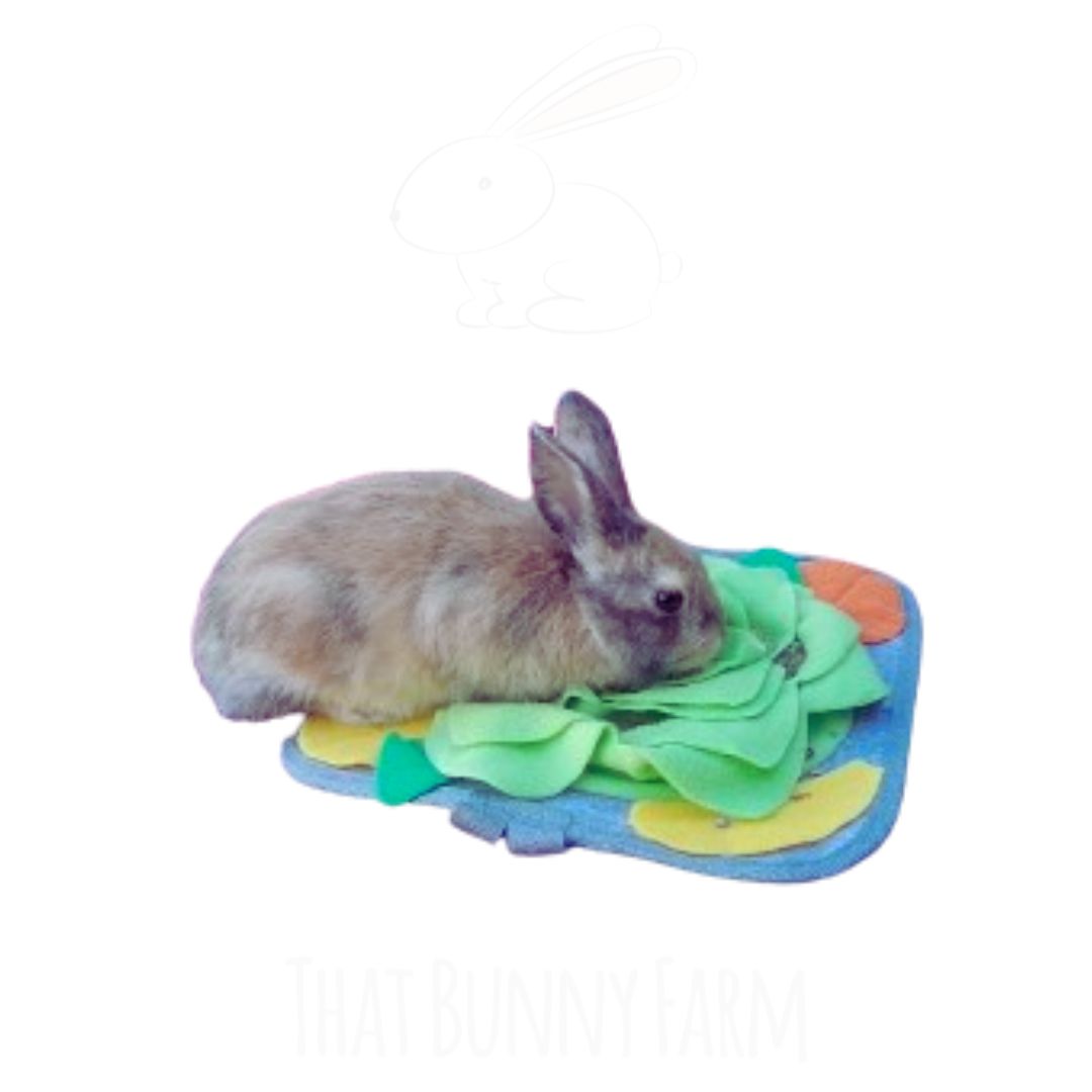 Snuffle Mat