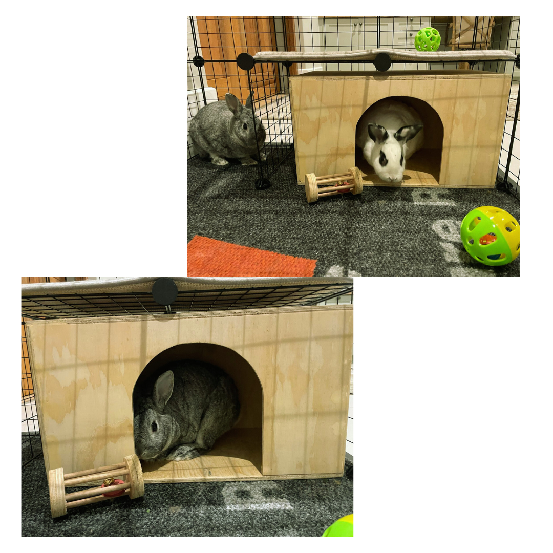 Harvey & Lily's Hideout Haven