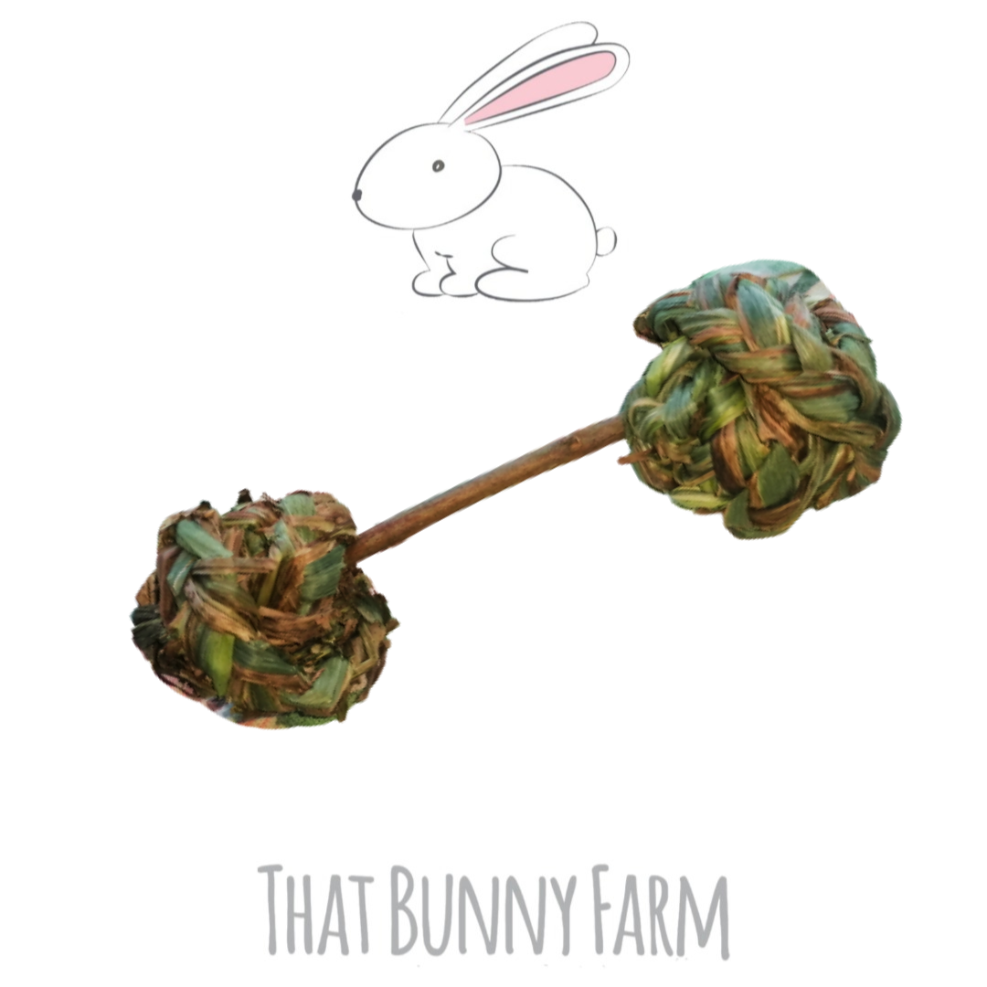 Dumbell chew and toss toy