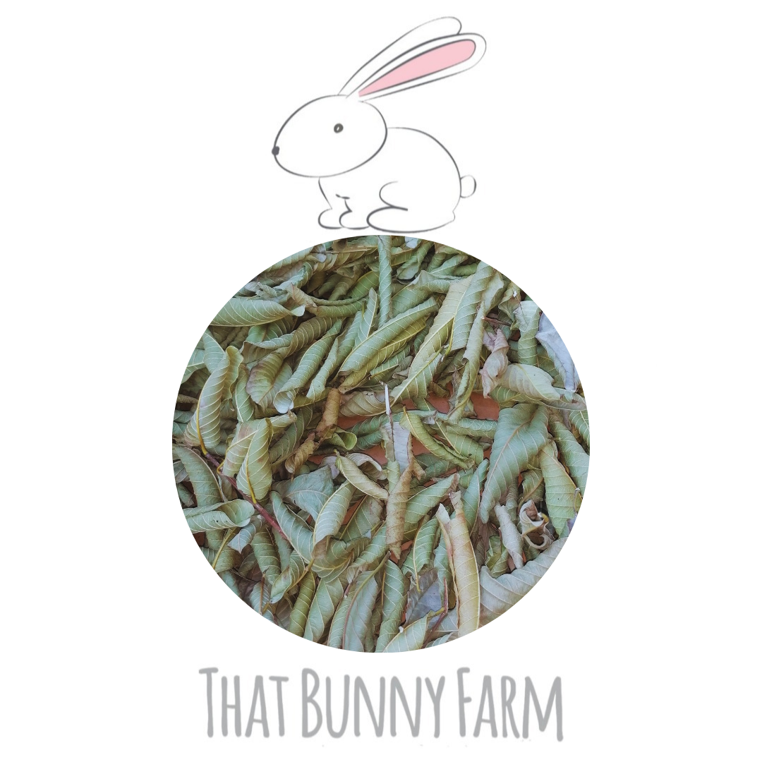 Organic Guava Munchies for Small Pets