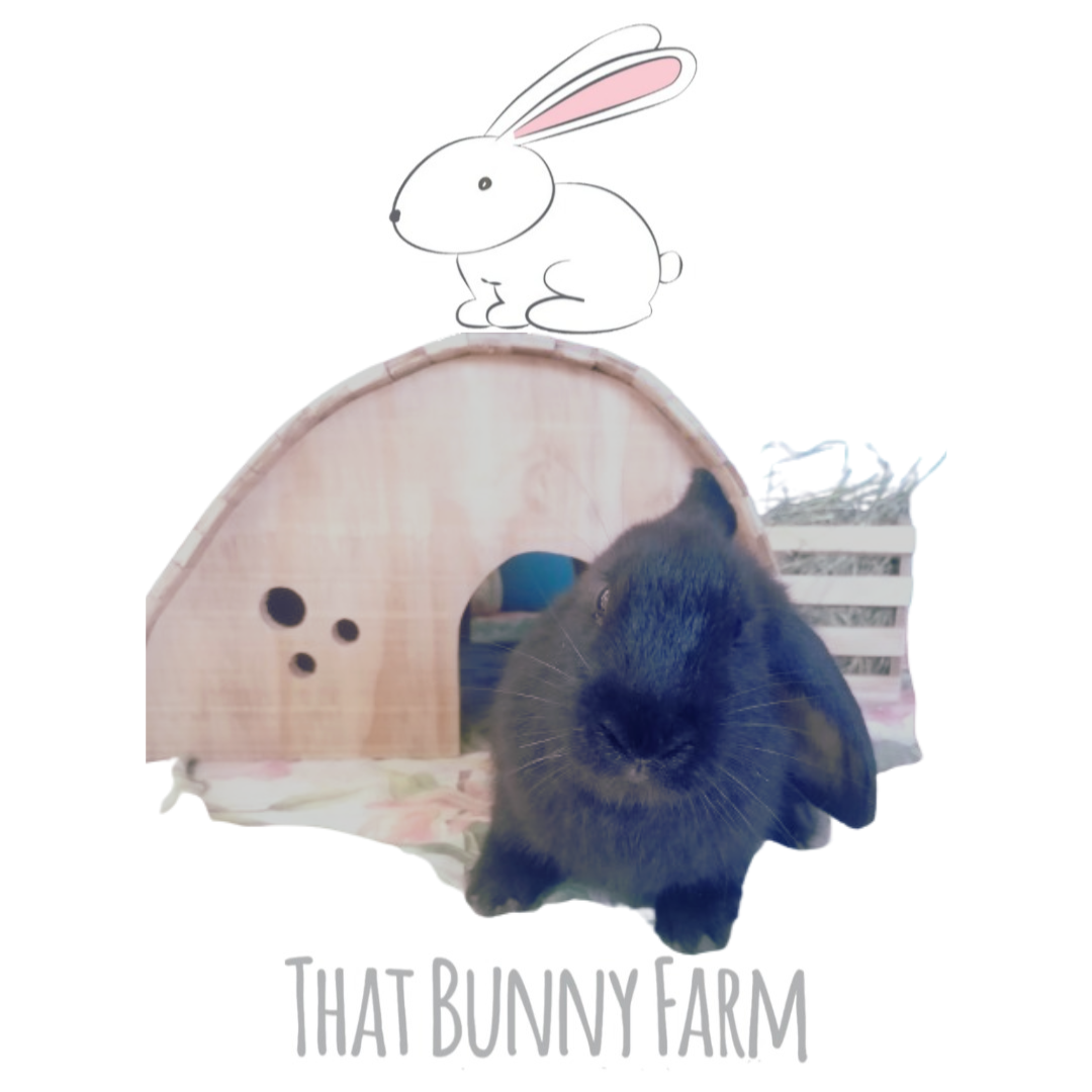 Hobbit Hideaway/Tunnel