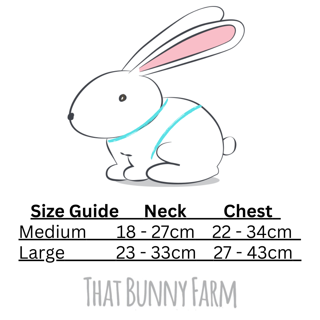 Rabbit Harness Collection