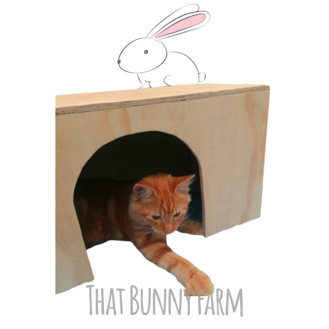 Harvey & Lily's Hideout Haven