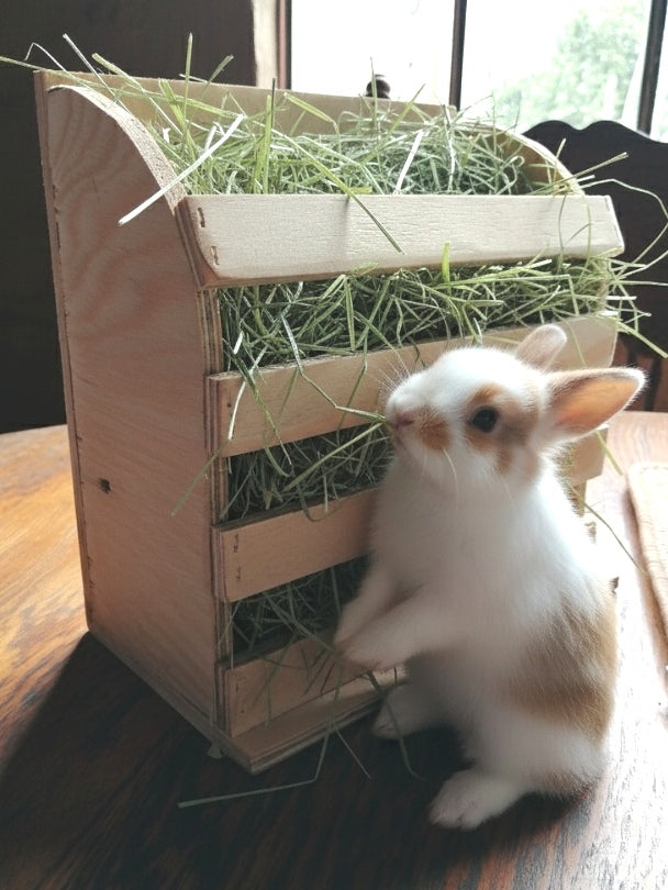 Essential Pine Hay Racks: The Vertical & The Cradle