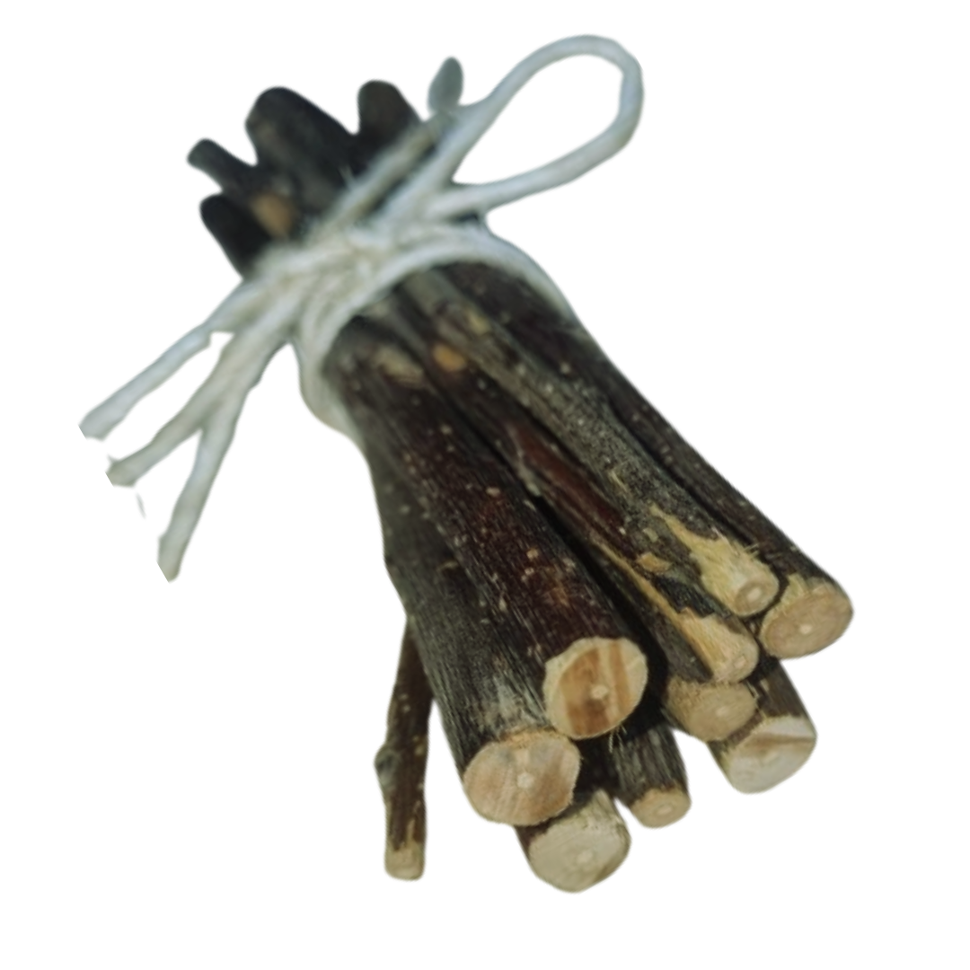 Natural Nibblers' Delight: Apple Sticks for Happy Critters!