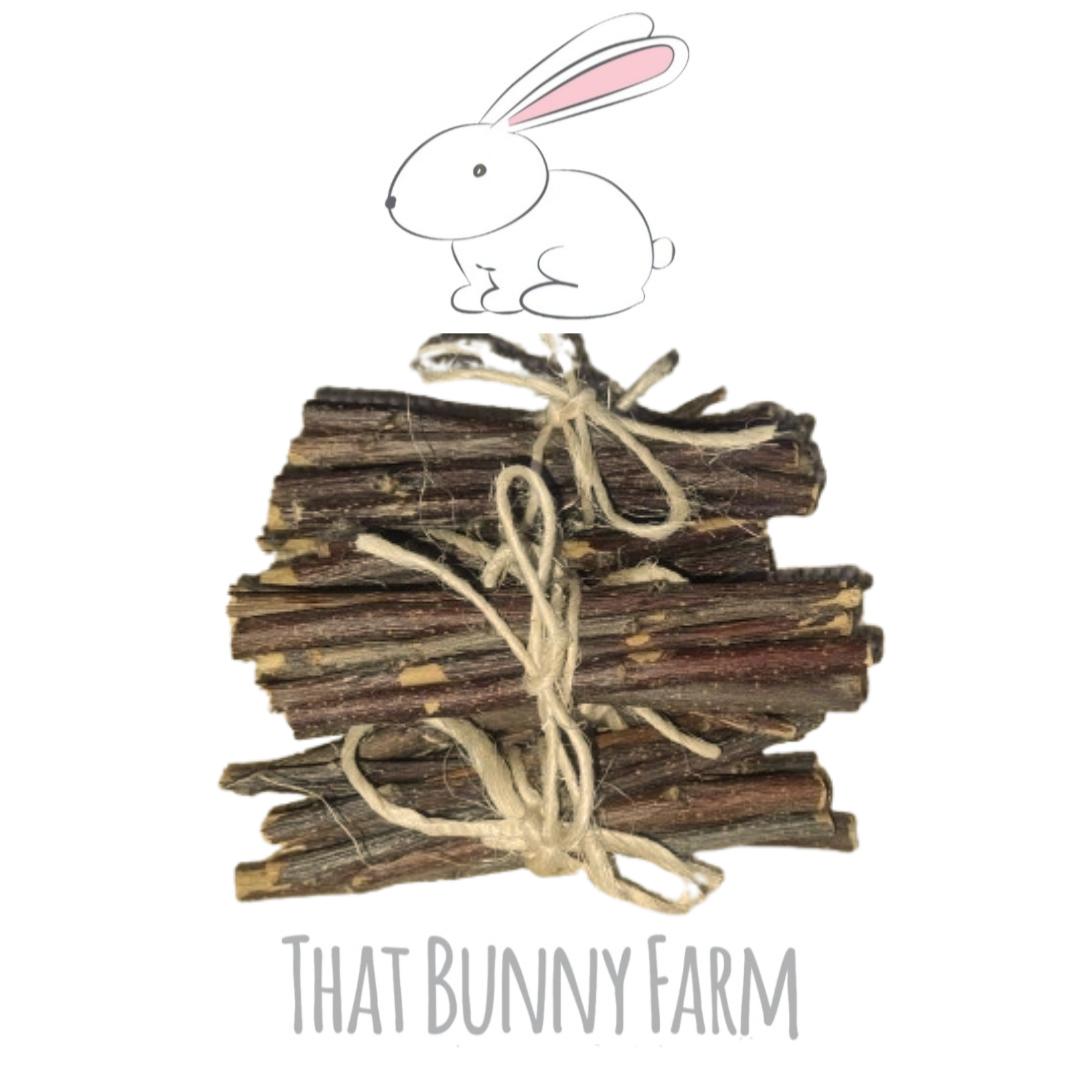 Natural Nibblers' Delight: Apple Sticks for Happy Critters!