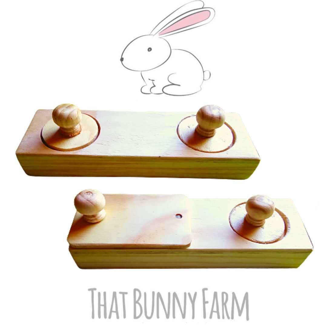 Double hole foraging toy