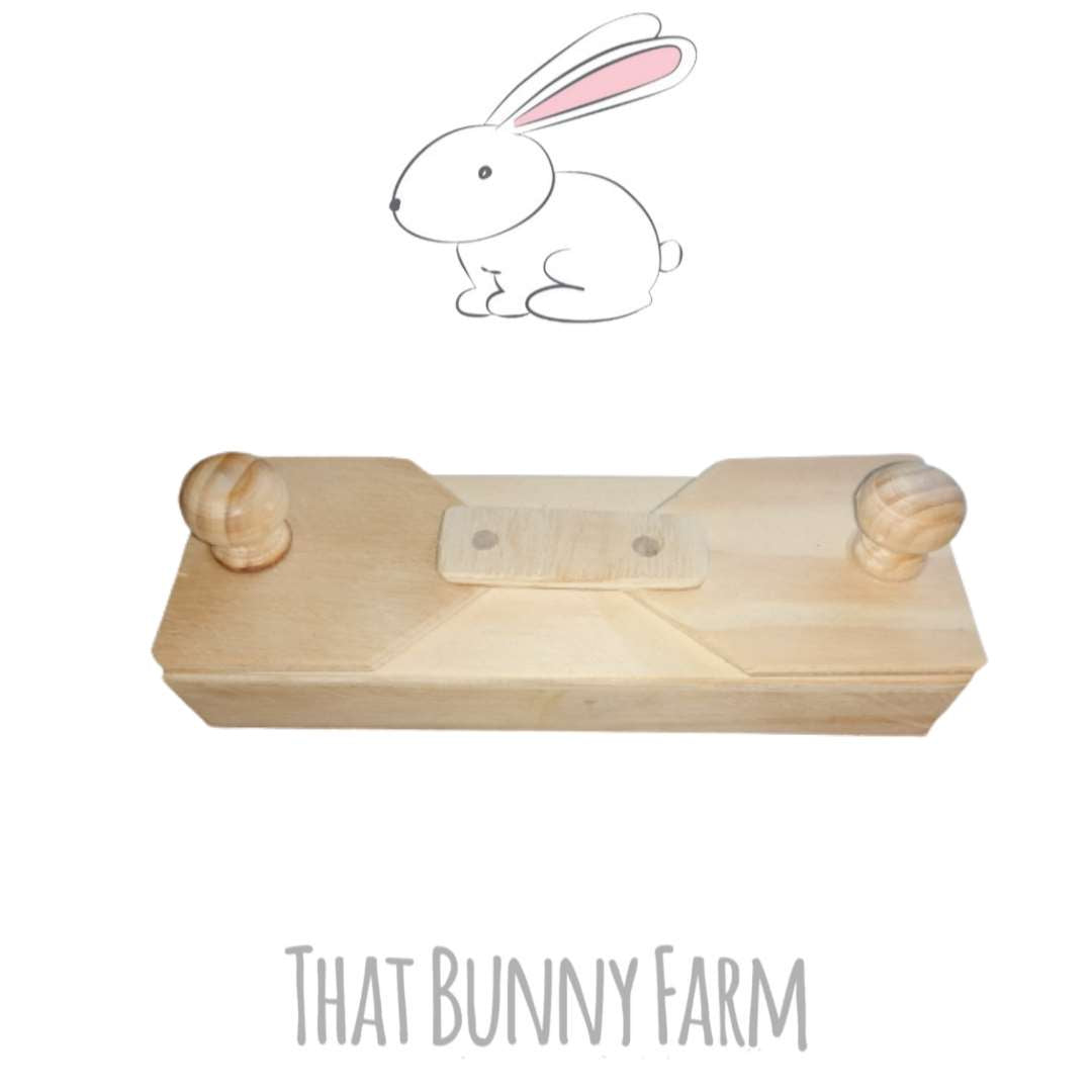 Double hole foraging toy