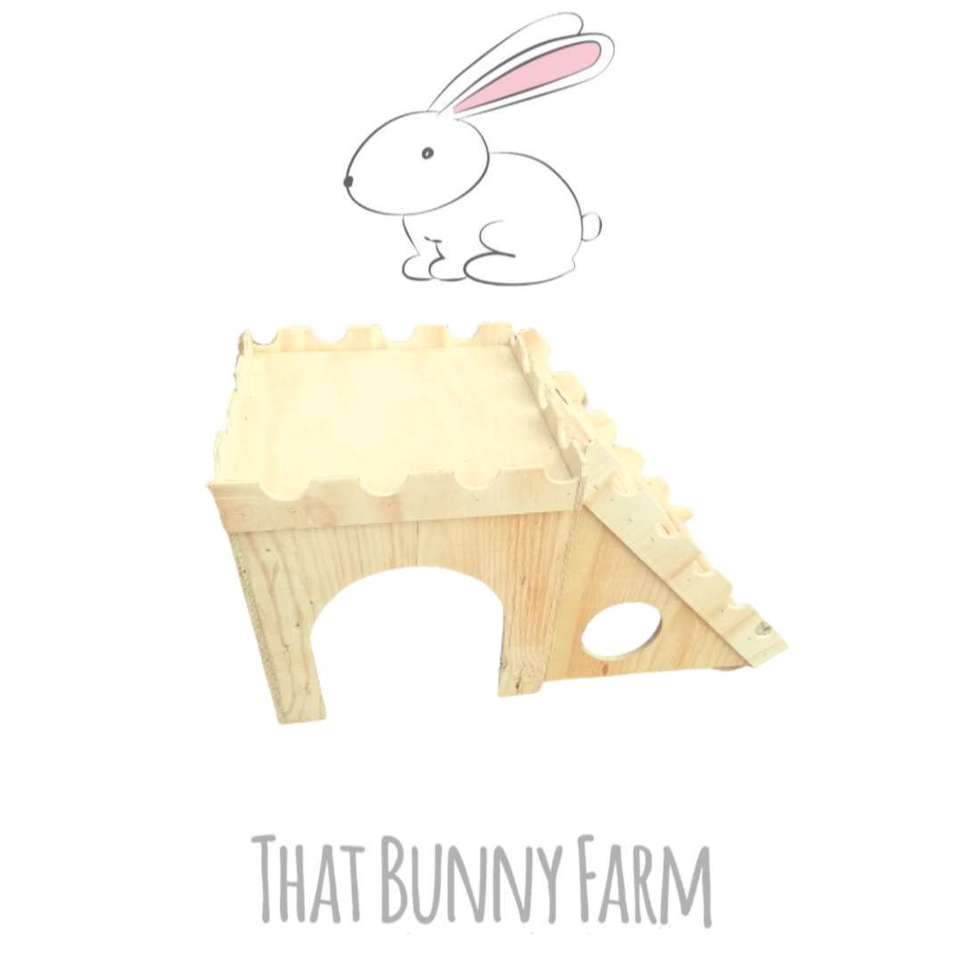 Castle Starter Selection