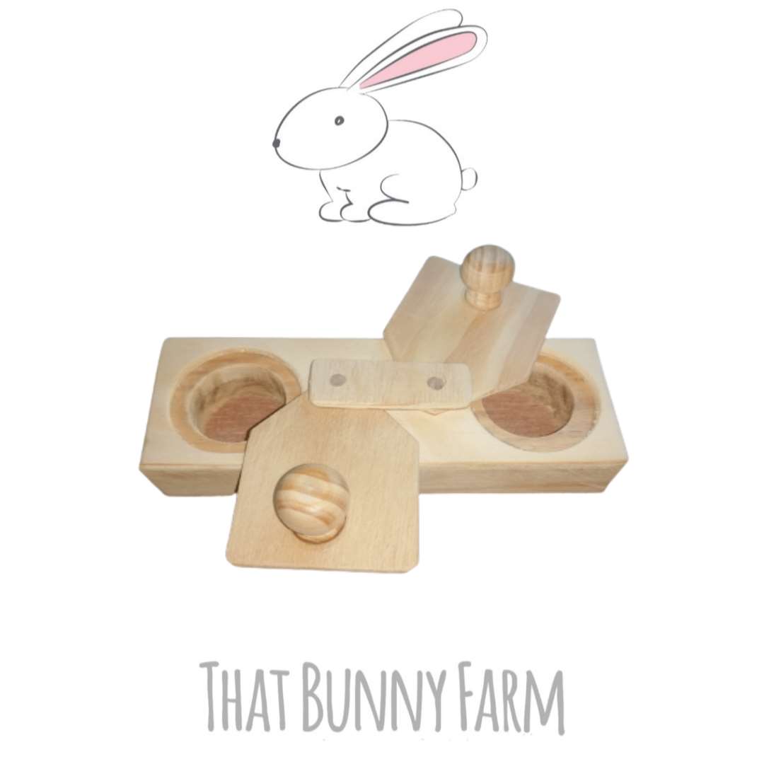 Double hole foraging toy