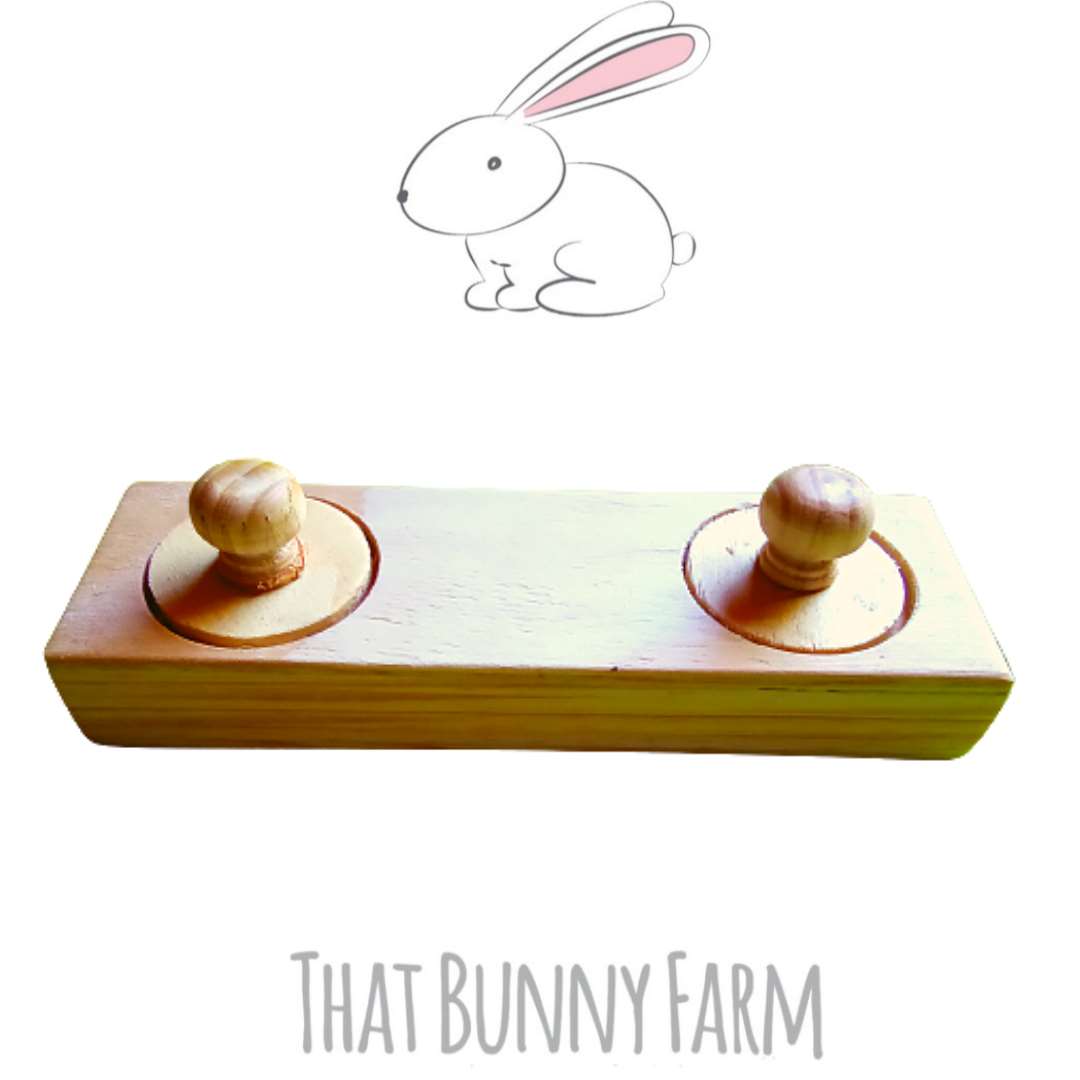 Double hole foraging toy