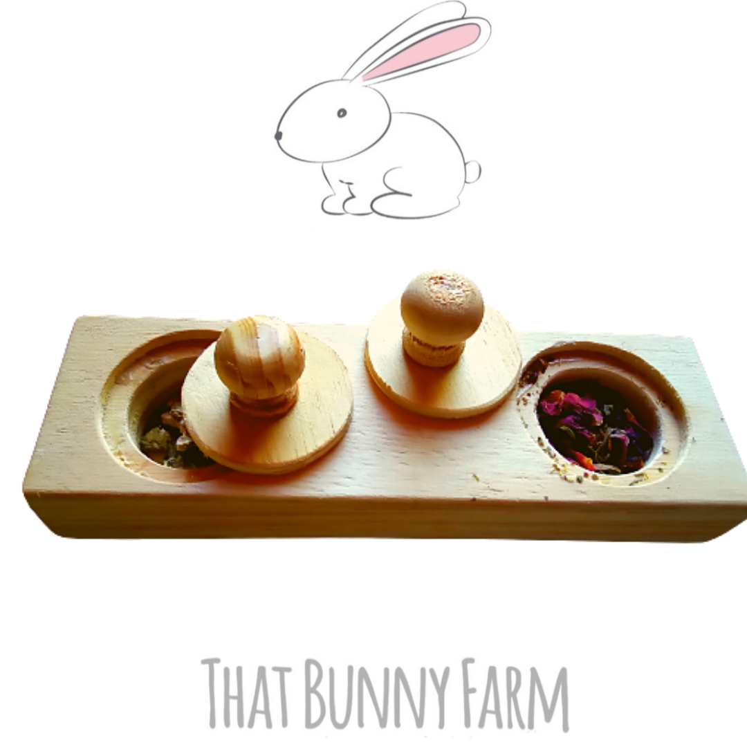 Double hole foraging toy