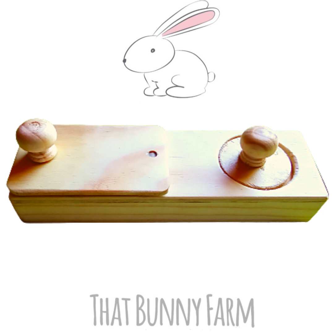 Double hole foraging toy