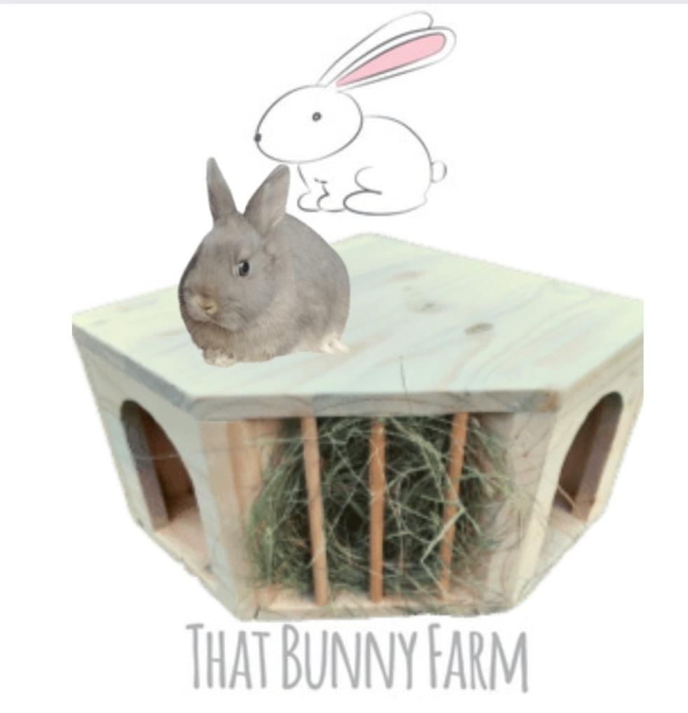 Small Critter Hideout with Hay Feeder