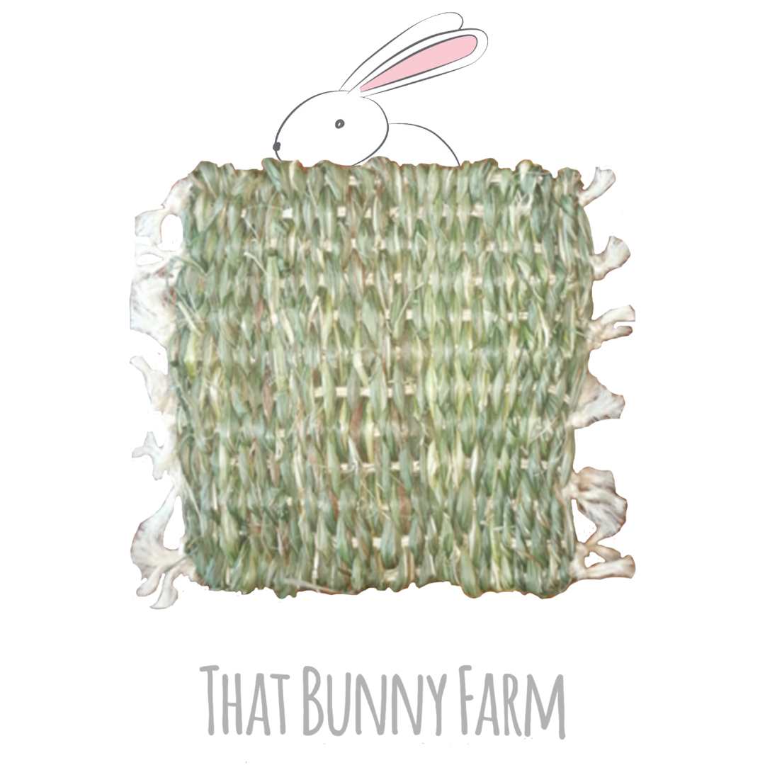 That Bunny Mat