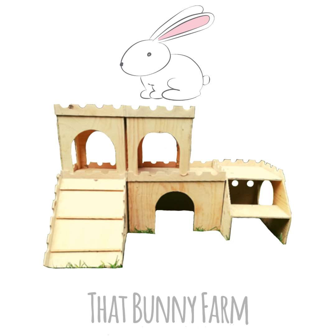 Castle WonderLand Activity Centre