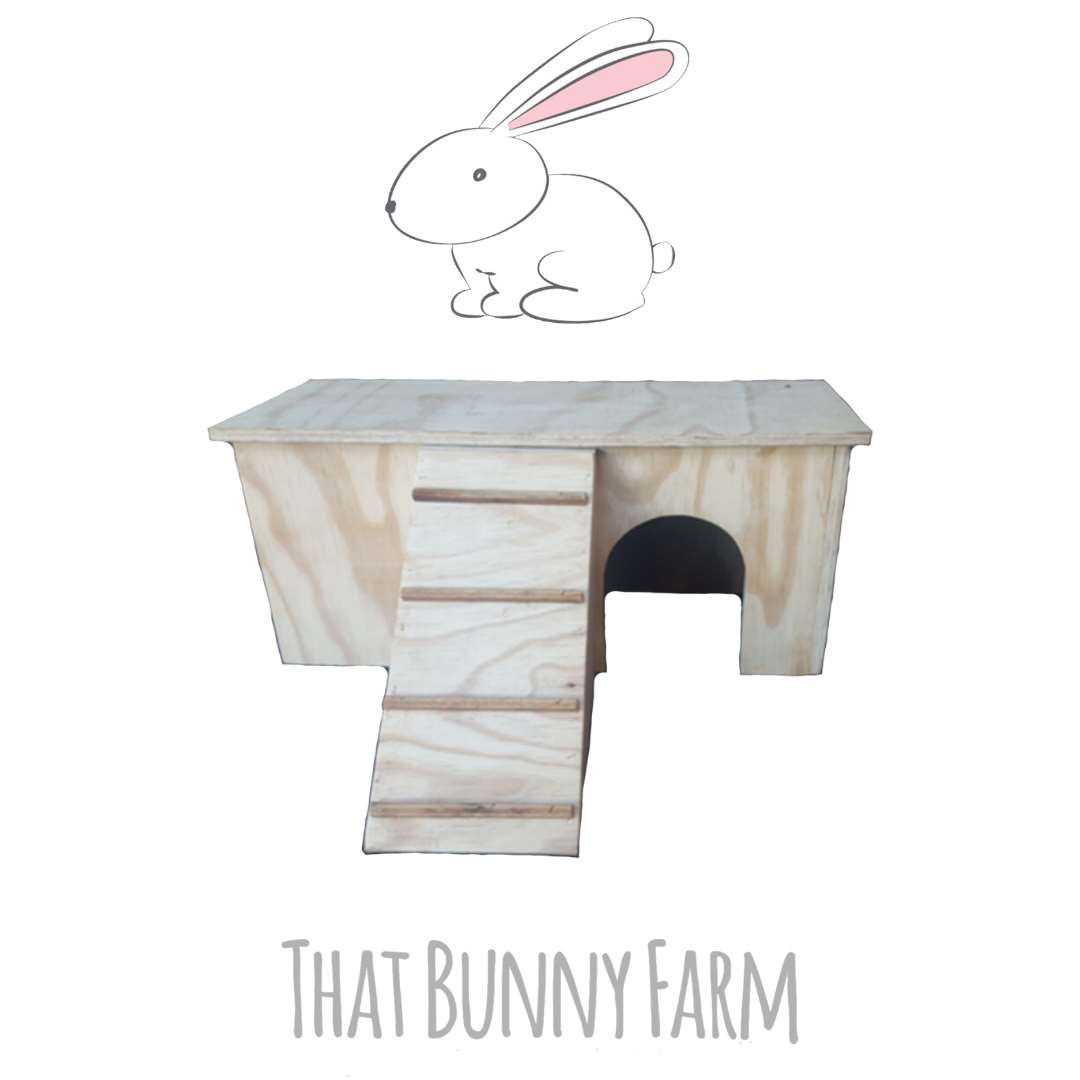 Hideaway with ramp