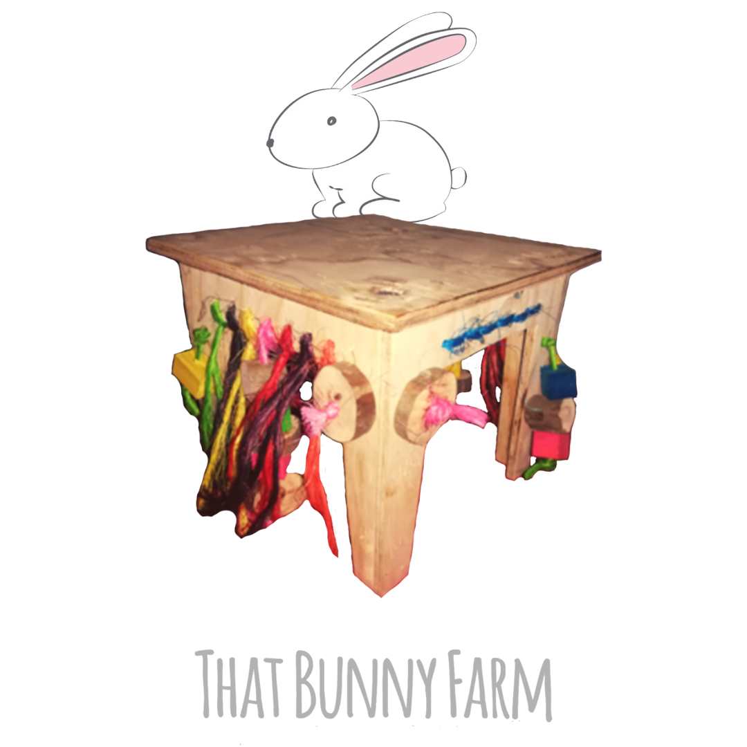 Mila's Activity Table