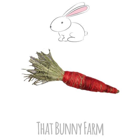Carrot Shaped Sisal Throw Toy