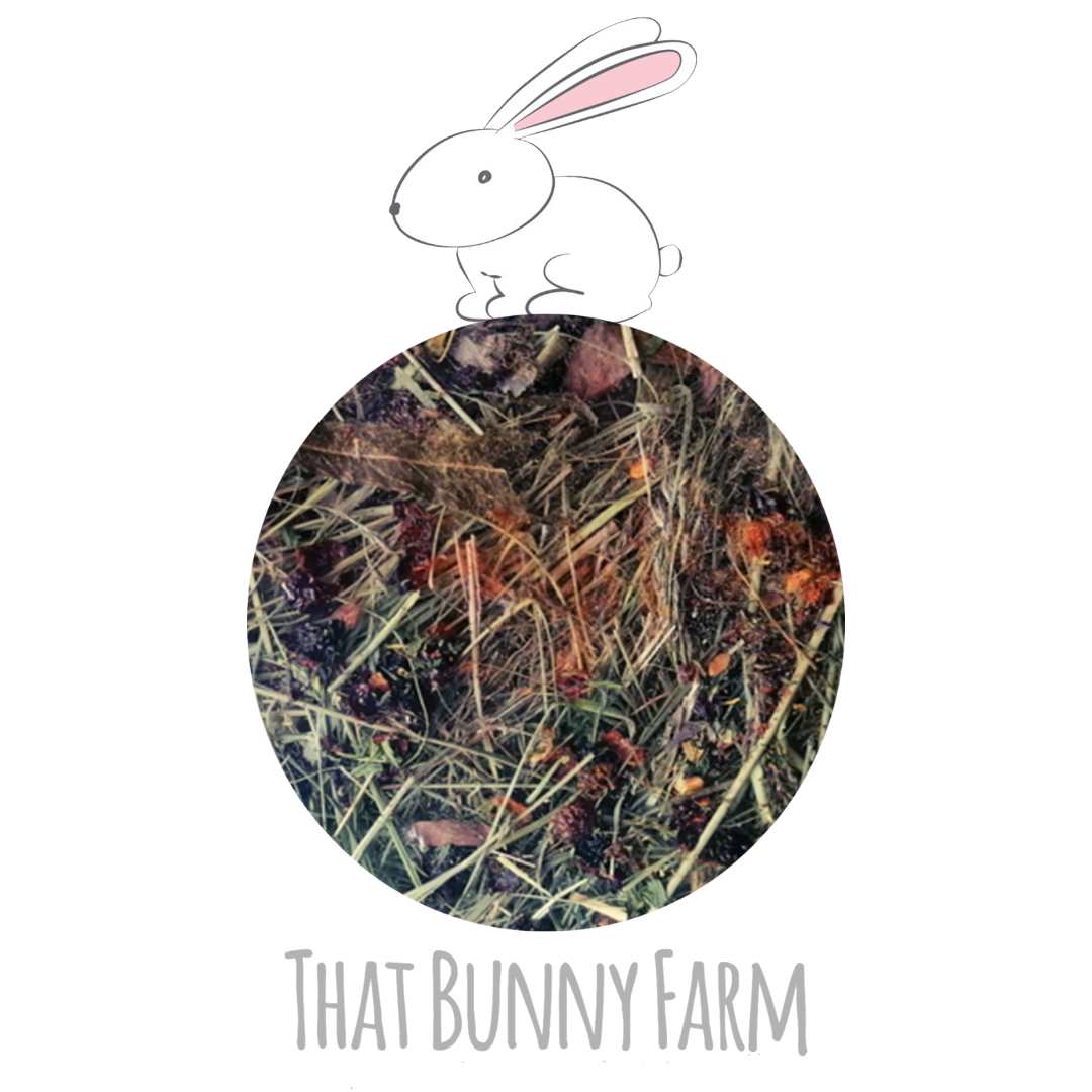 That Bunny Hay ~ Snack Time