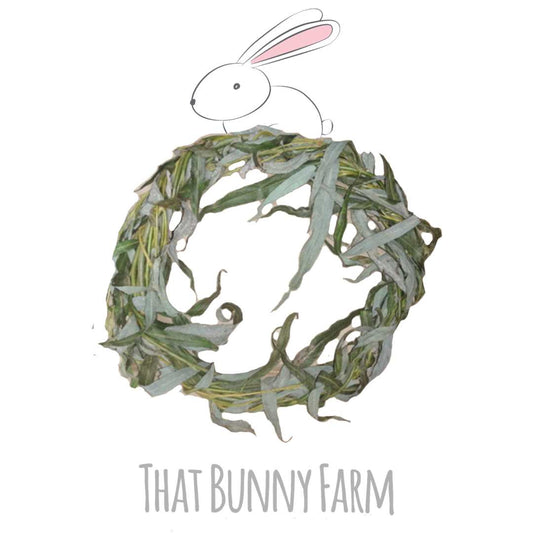Willow Wreath