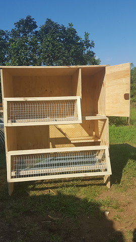 Rabbit Hutches the Do's and Don'ts