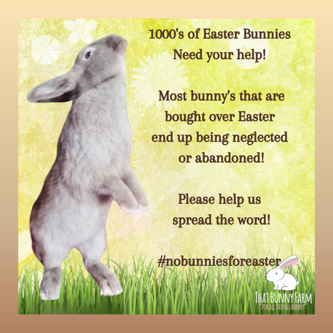 Say no to Easter Bunny's!