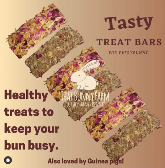 Tasty Treat chew toy for rabbits and other critters 