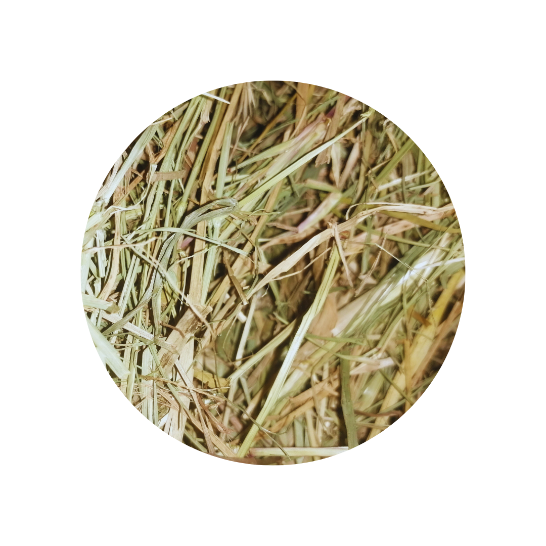 Pasture Hay