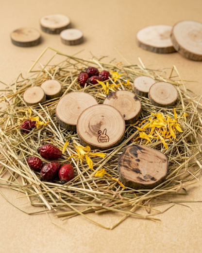 Interactive Forage & Dig Box