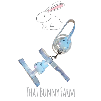 Rabbit Harness Collection