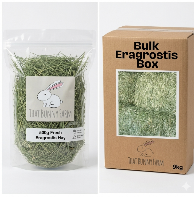 Premium Eragrostis Hay: The Foundation of a Happy Bunny