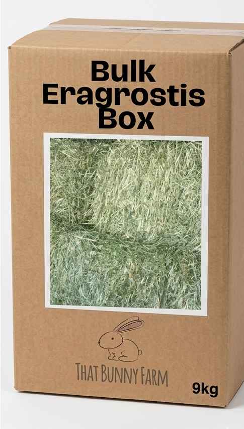 Premium Eragrostis Hay: The Foundation of a Happy Bunny