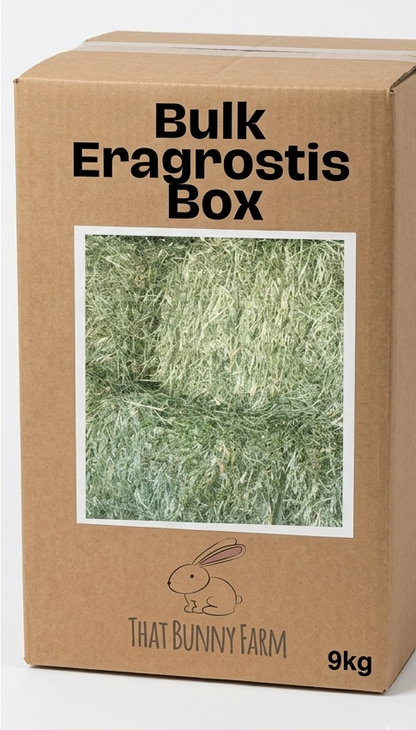Premium Eragrostis Hay: The Foundation of a Happy Bunny