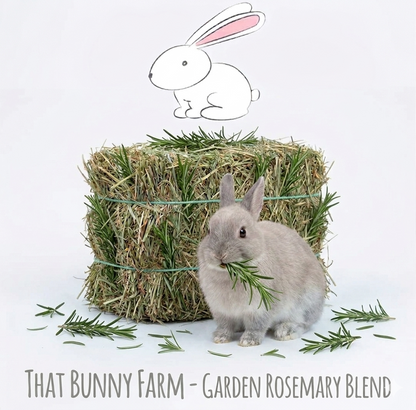 Premium Herbal Mini Hay Bales (250g)