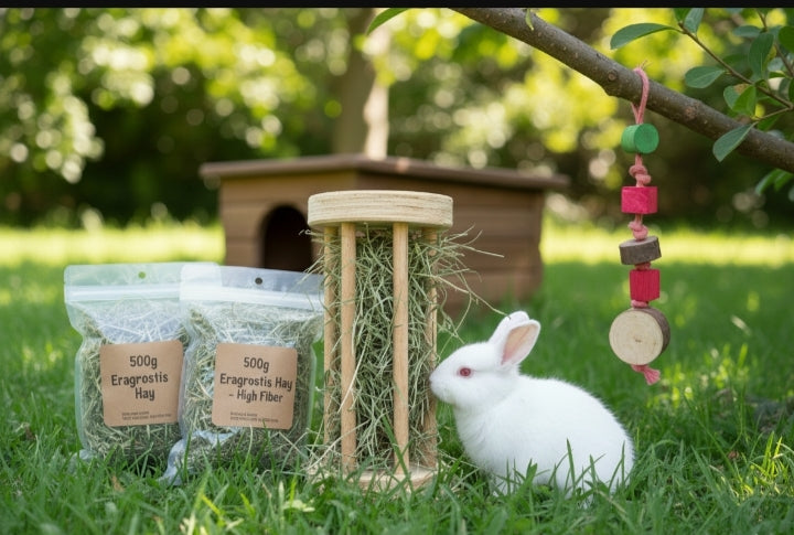 Healthy Chompers Kit: The Ultimate Dental Health Bundle for Rabbits!