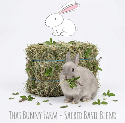 Premium Herbal Mini Hay Bales (250g)