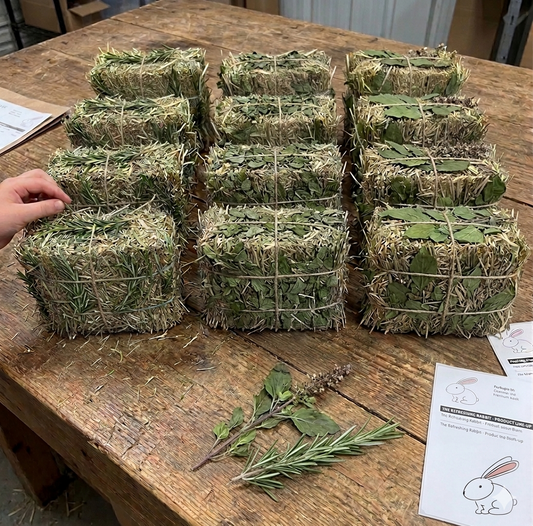 Premium Herbal Mini Hay Bales (250g)