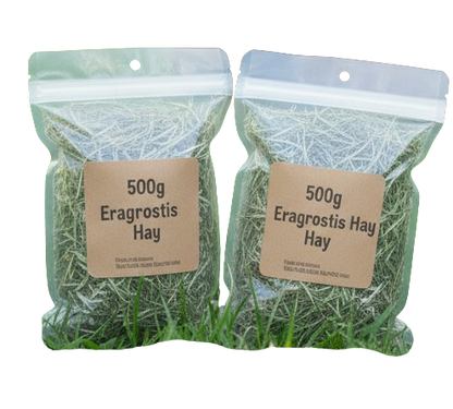 Healthy Chompers Kit: The Ultimate Dental Health Bundle for Rabbits!