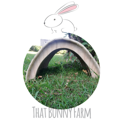 Rabbit play tunnel on sale
