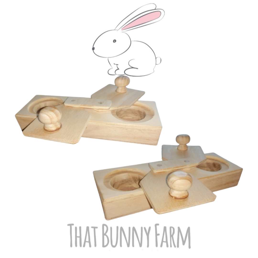 Double hole foraging toy