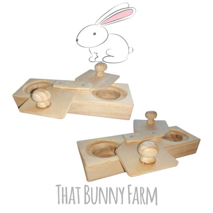 Double hole foraging toy