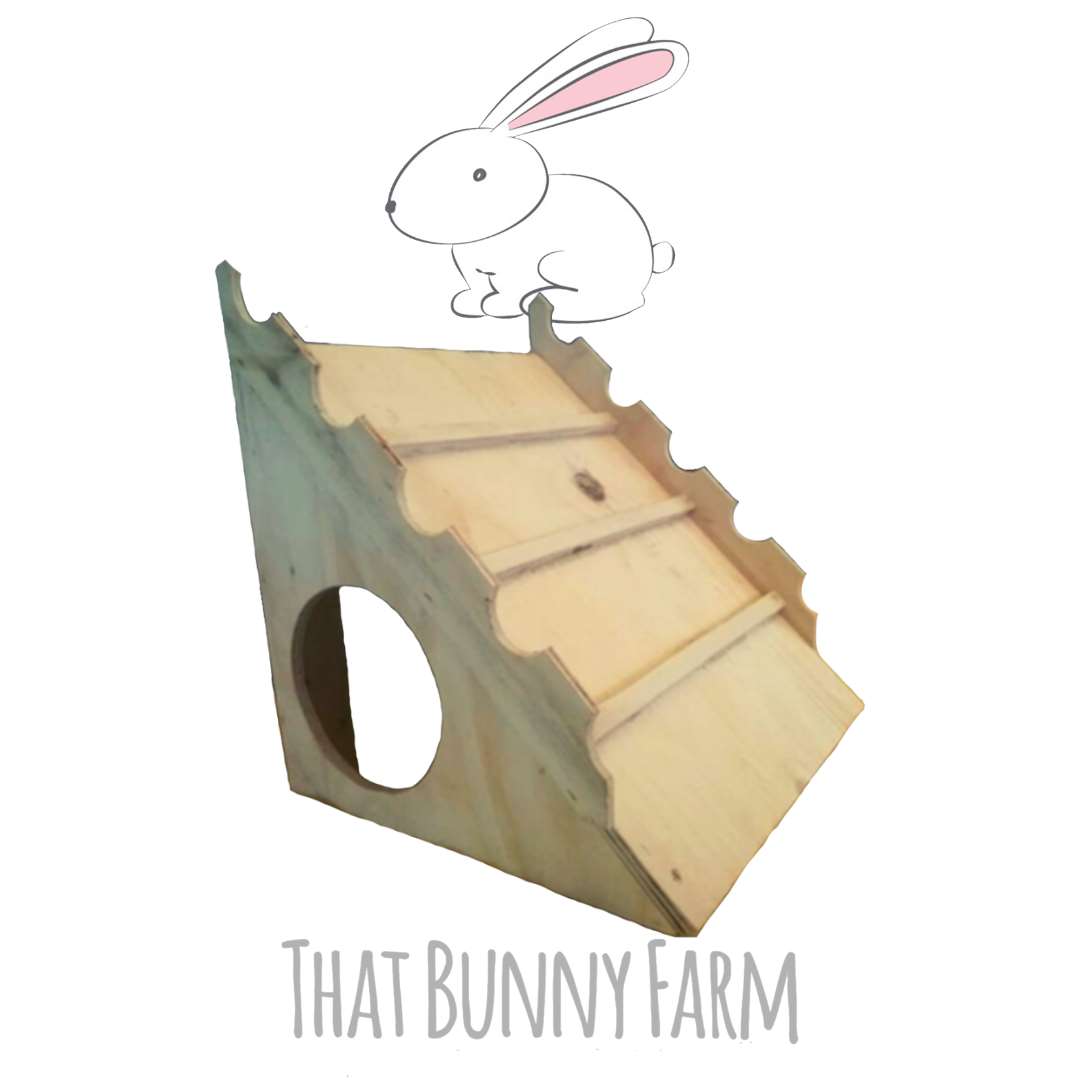 Castle Ramp