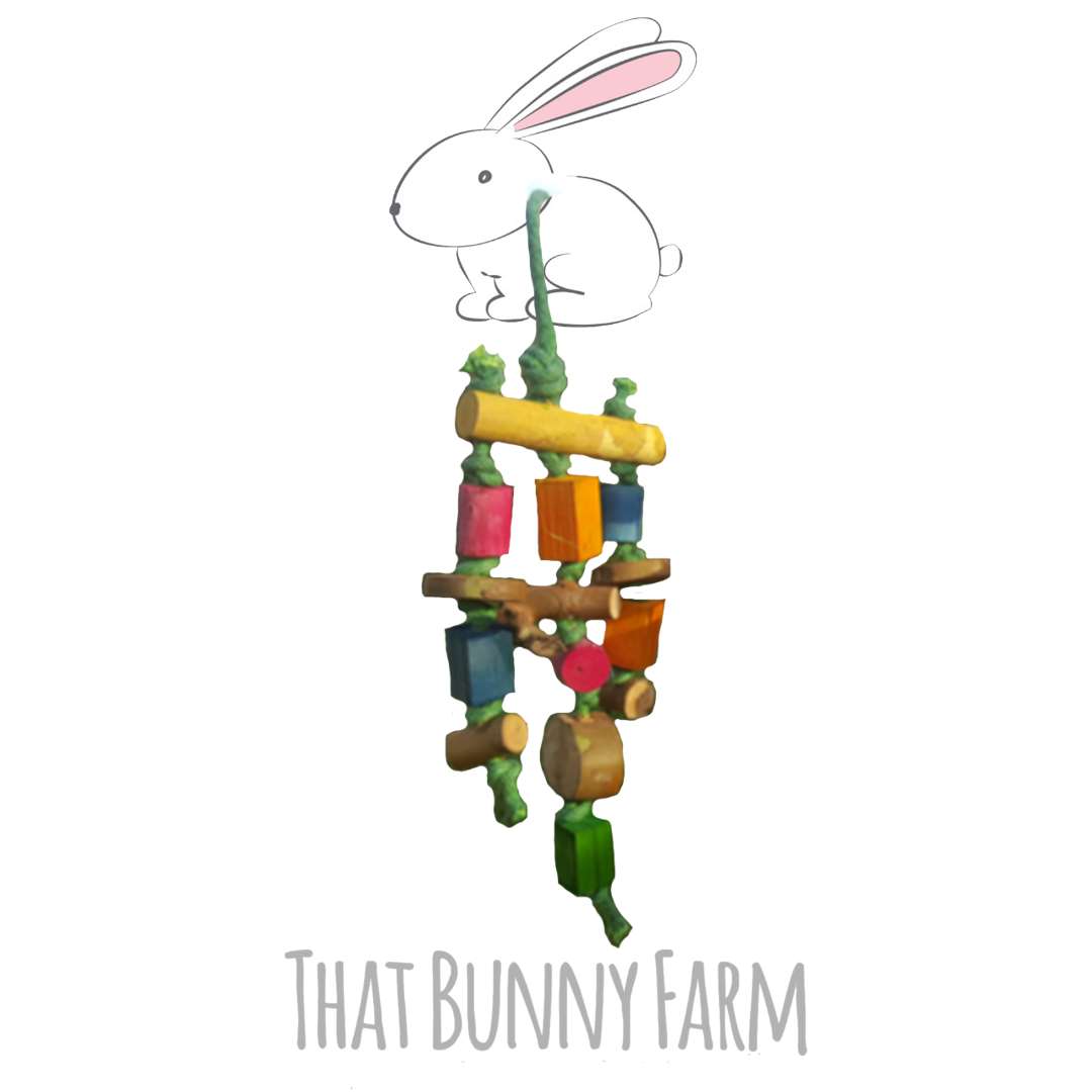 Hanging Chew Toy