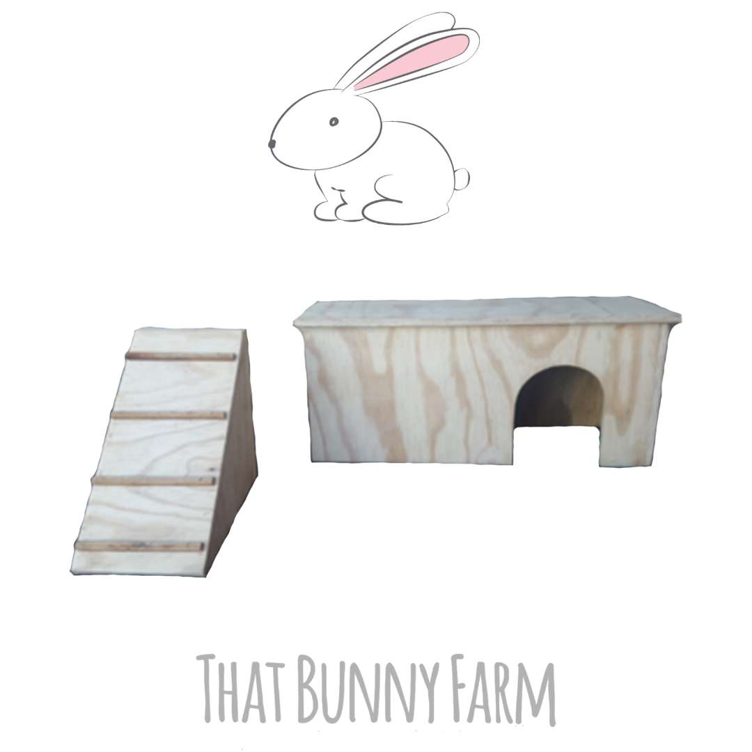 Hideaway with ramp