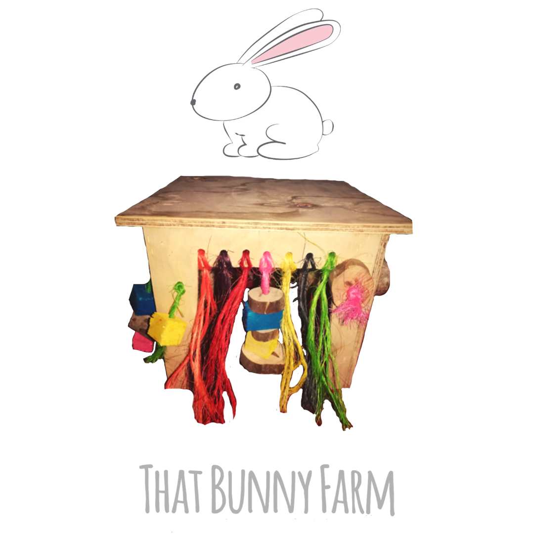 Mila's Activity Table – That Bunny Farm