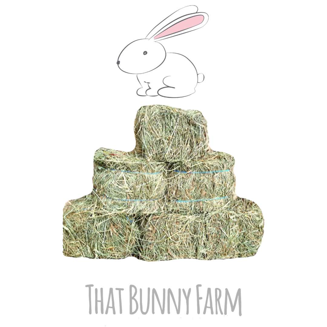Mini Basil Hay Bale – That Bunny Farm