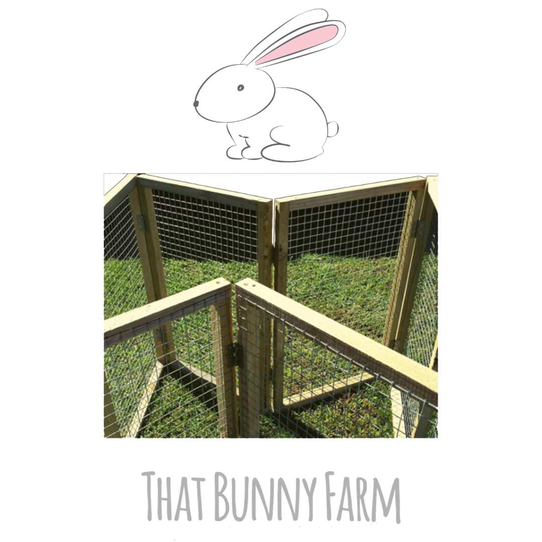 Rabbit Playpen