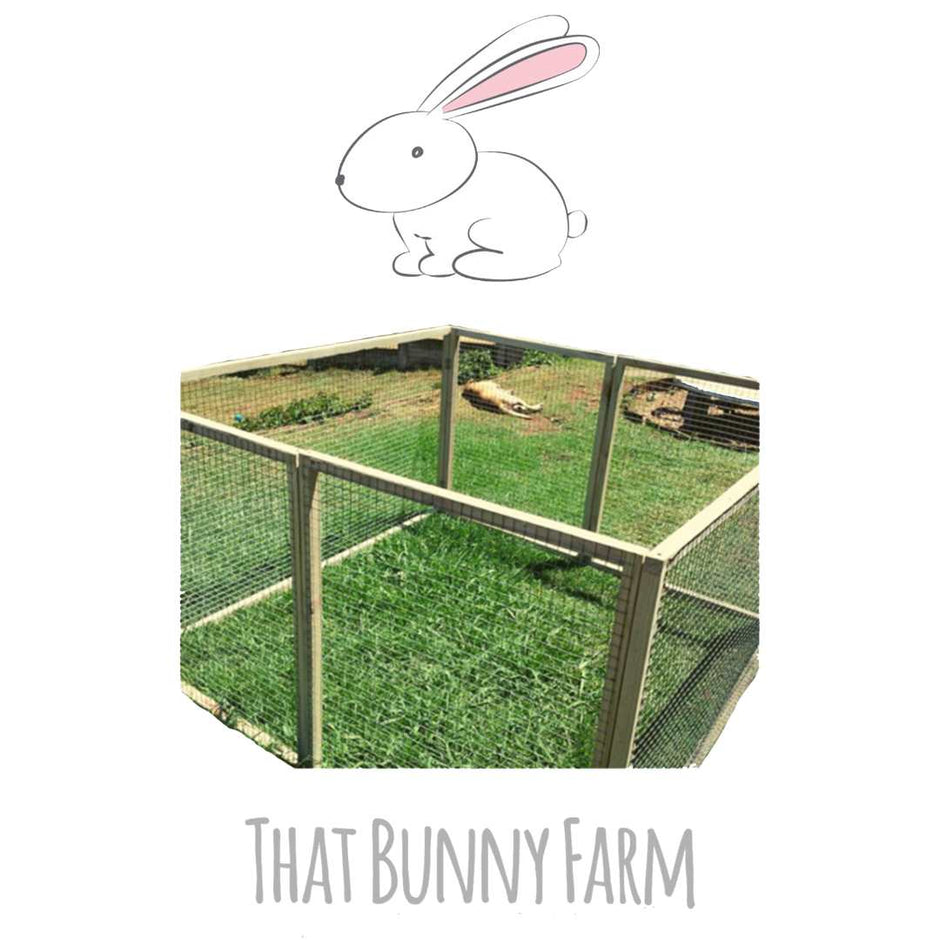 Hutches & Playpens – That Bunny Farm